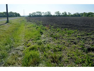 Property photo 73 - LAND AUCTION - 215+/- ACRES OFFERED IN 6 TRACTS IN VAN WERT COUNTY, OHIO